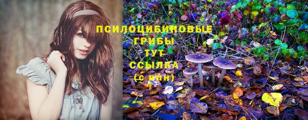 мдпв Нефтекумск