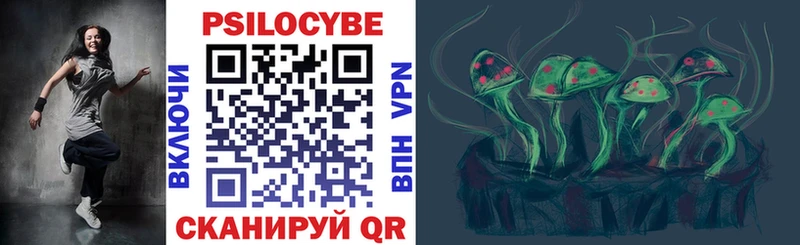 Галлюциногенные грибы Psilocybine cubensis  нарко площадка формула  Шадринск 